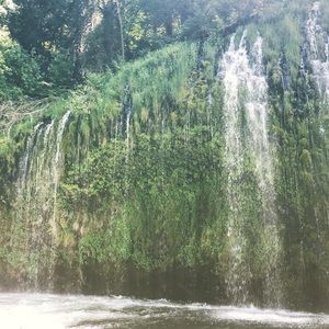 Meet your Posher, Kelsie